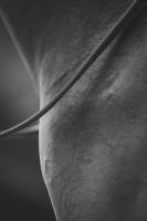 Paul PINTARD - PINTARD PHOTOGRAPHIE