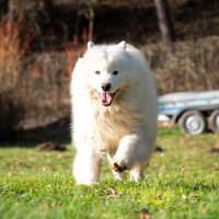 Julien SESIA - Julien-Sésia-Photographie©